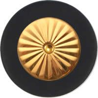 Saxgourmet Pads - Maestro Star Airtight Gold Plated Resonator - Individual Pads